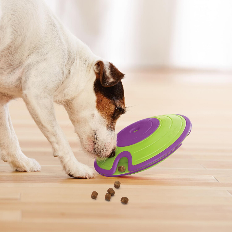 Nina Ottosson Dog Treat Maze Puzzle | Peticular