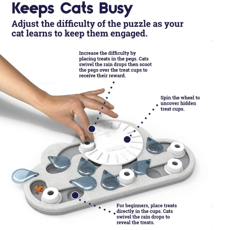 Rainy Day Puzzle & Play | Cat Toy