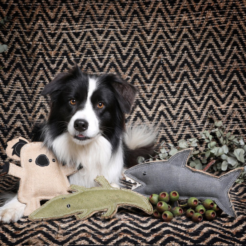 Outback Tails Outback Animal Toy | Kevin The Koala | Peticular