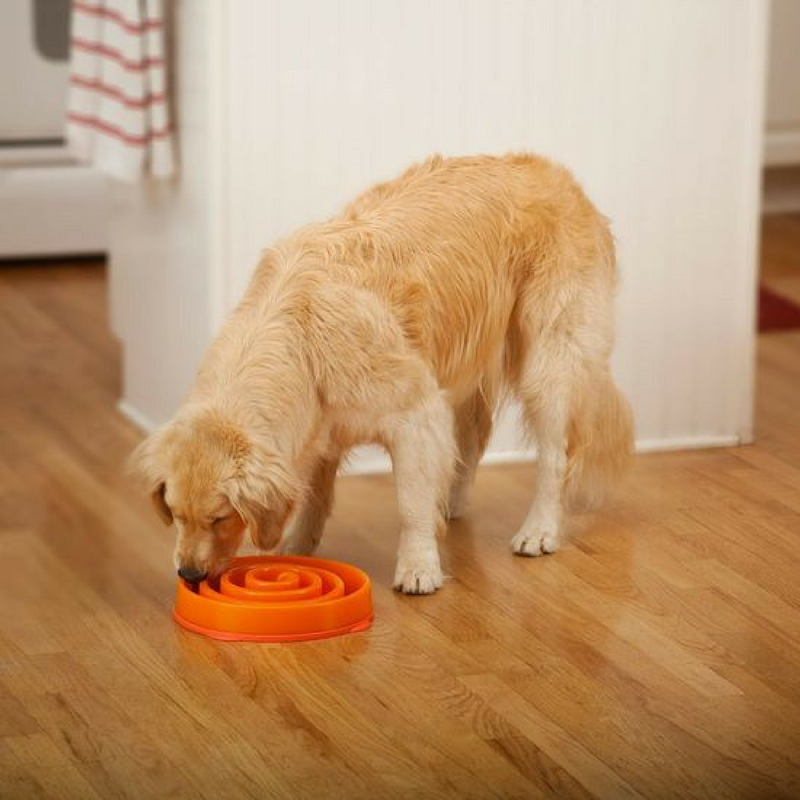 Outward Hound Fun Feeder Slo-Bowl | Orange Maze | Peticular