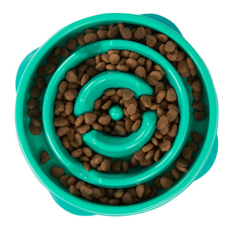 Fun Feeder Slo Bowl Teal Drop Peticular