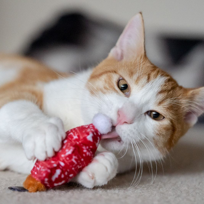 Feline Frenzy | Meowy Christmas Catnip Toys