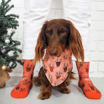Dashing Through The Snow Xmas Socks