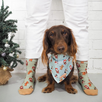 Deck The Paws Xmas Socks