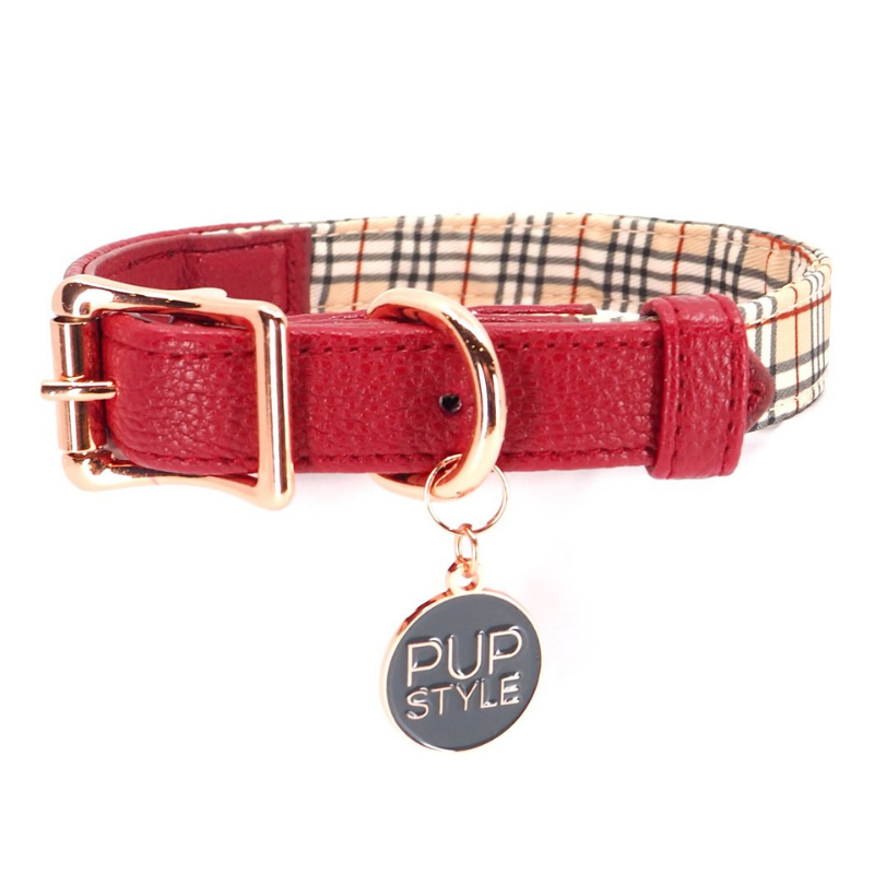 Houndbury City Dog Collar