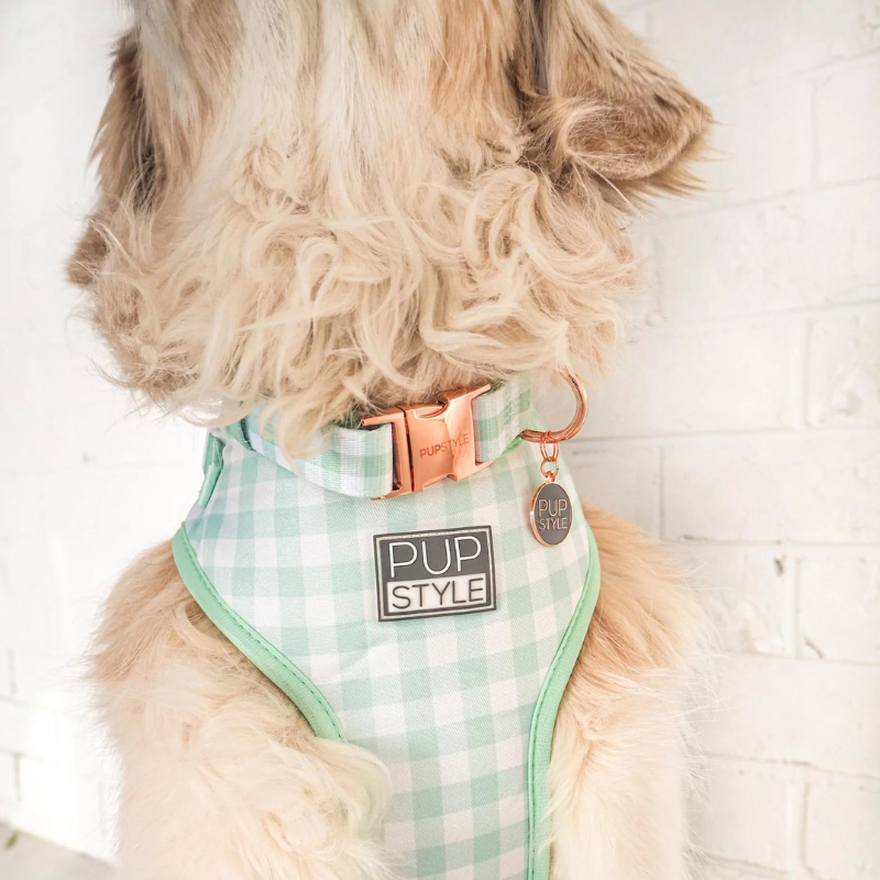 Sweet Apple | Suburban Dog Collar