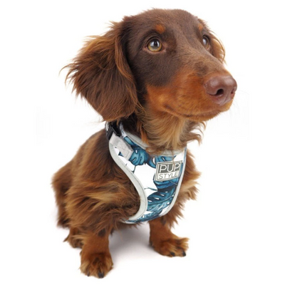 PUPSTYLE Palm Vibes Dog Harness | Peticular