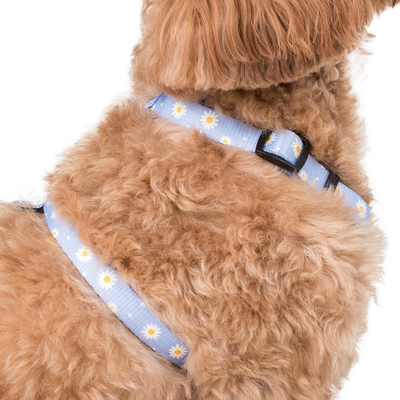 Blue Daisy | Dog Strap Harness