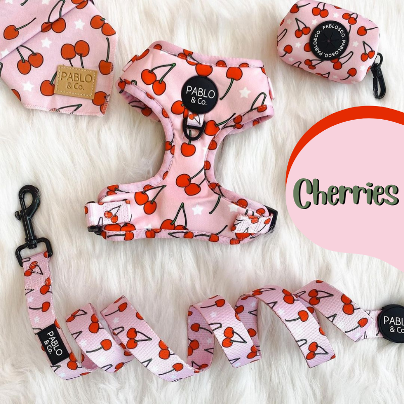 Cherries | Adjustable Dog Harness