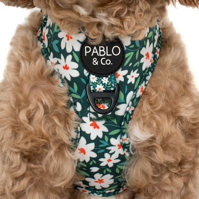 Flower Garden | Adjustable Dog Harness