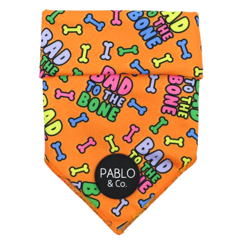 Halloween Dog Bandana | Bad To The Bone