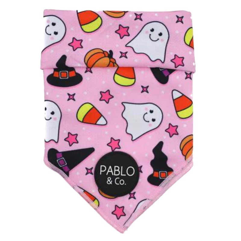 Halloween Dog Bandana | Glitter & Ghosts