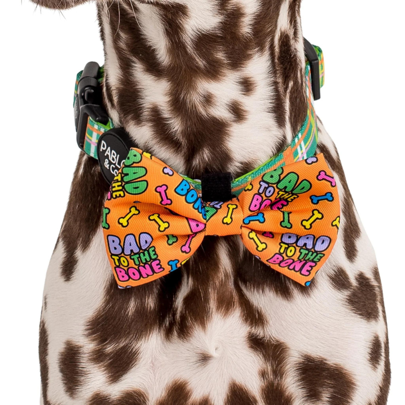 Halloween Dog Bow Tie | Bad To The Bone