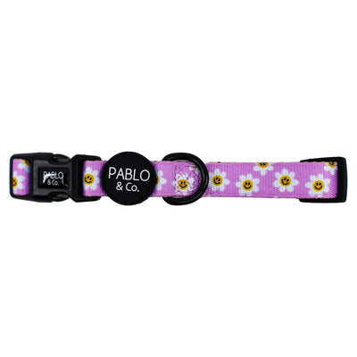 Lilac Smiley Flowers Dog Collar