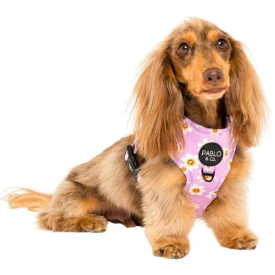 Lilac Smiley Flowers | Adjustable Dog Harness
