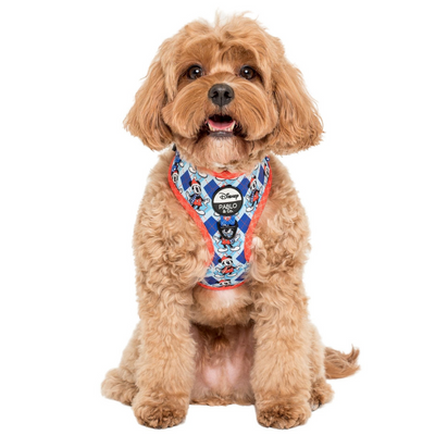 Mickey's Magical Christmas | Adjustable Dog Harness