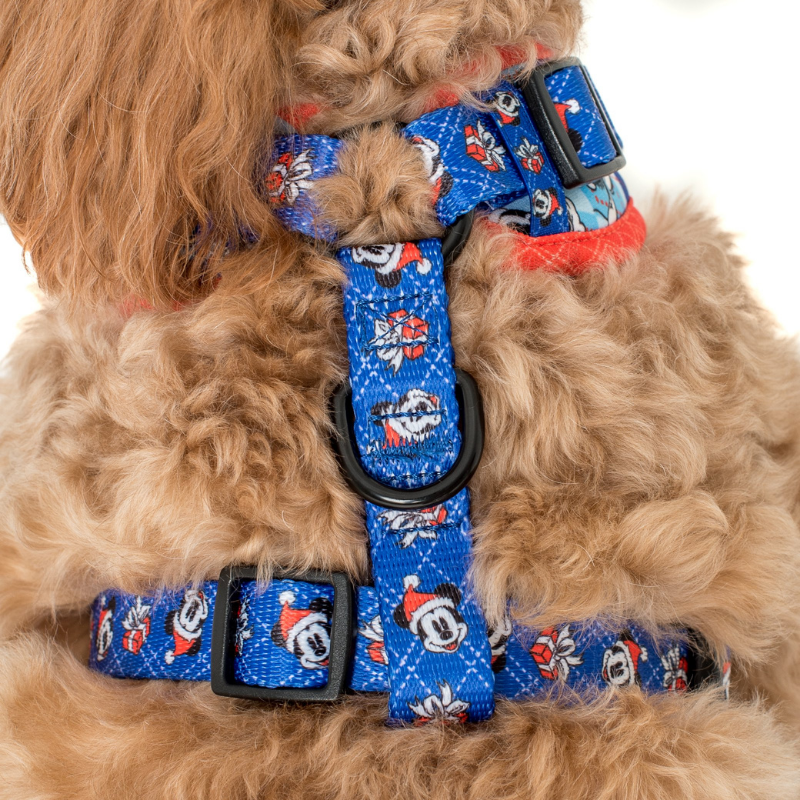 Mickey's Magical Christmas | Adjustable Dog Harness