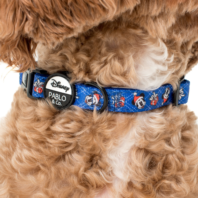 Mickey dog collar hot sale