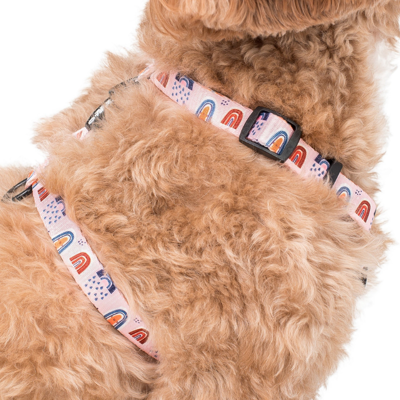 Pink Rainbows | Dog Strap Harness
