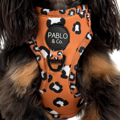 That Leopard Print | Adjustable Dog Harness