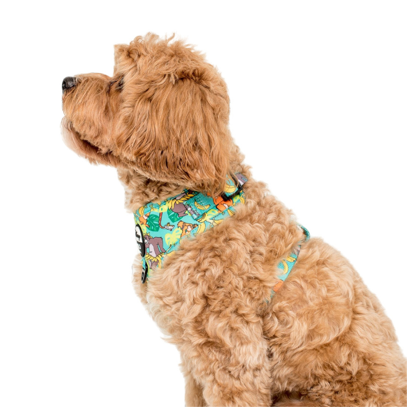 The Jungle Book | Adjustable Dog Harness