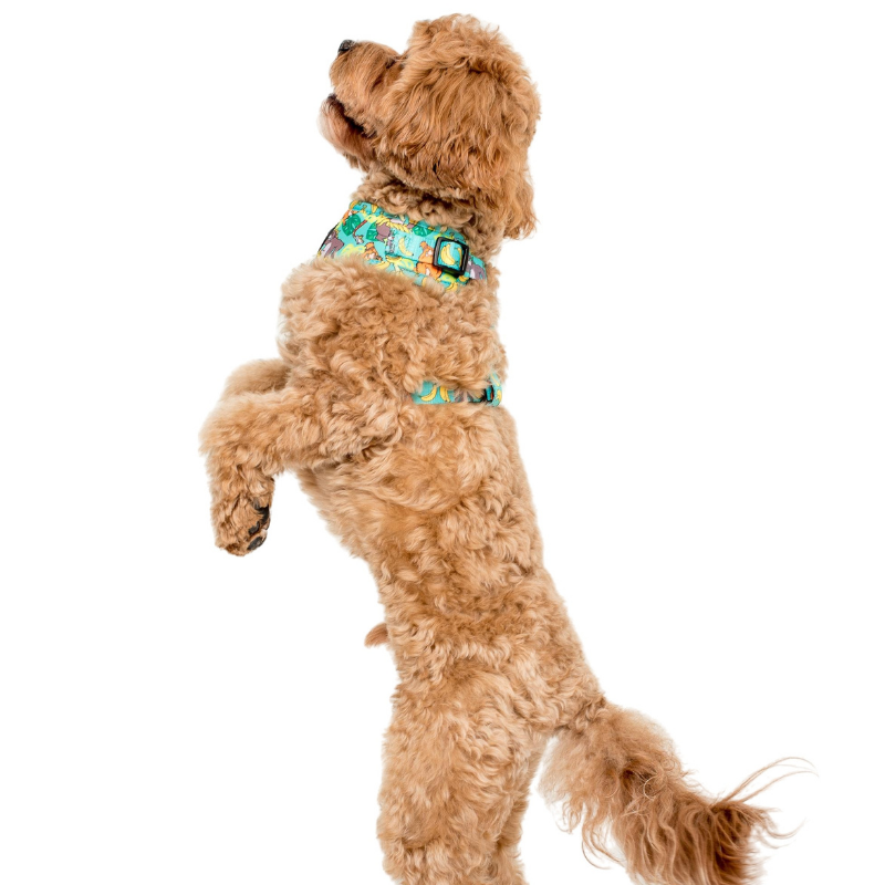 The Jungle Book | Adjustable Dog Harness