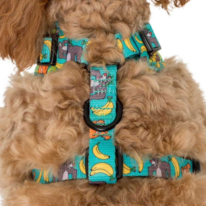The Jungle Book | Adjustable Dog Harness