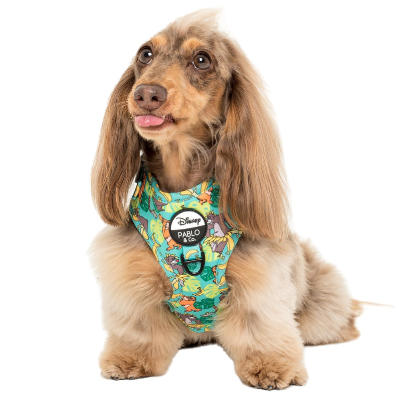 The Jungle Book | Adjustable Dog Harness