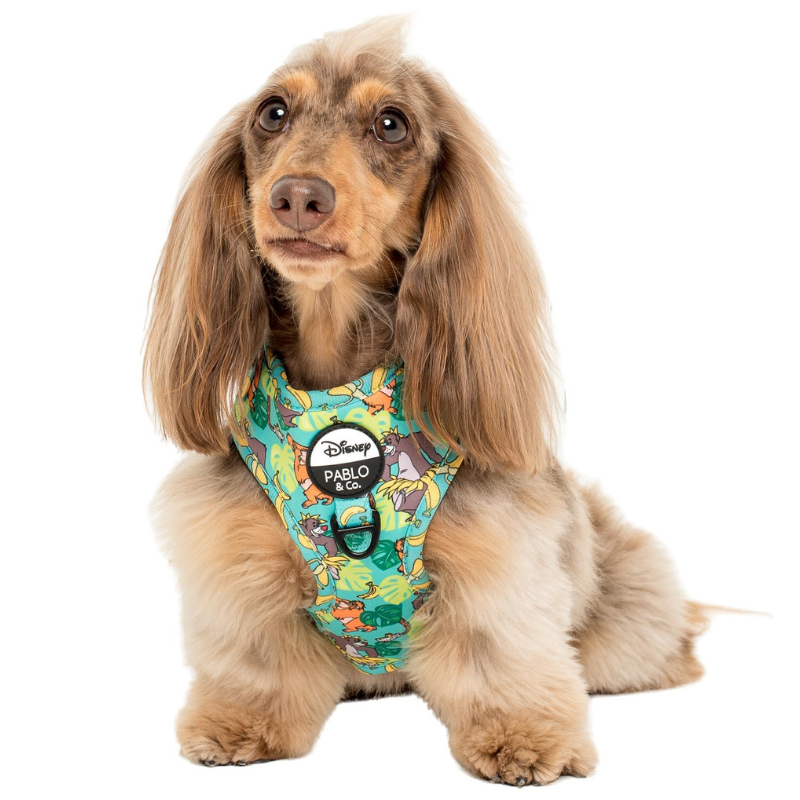 The Jungle Book | Adjustable Dog Harness
