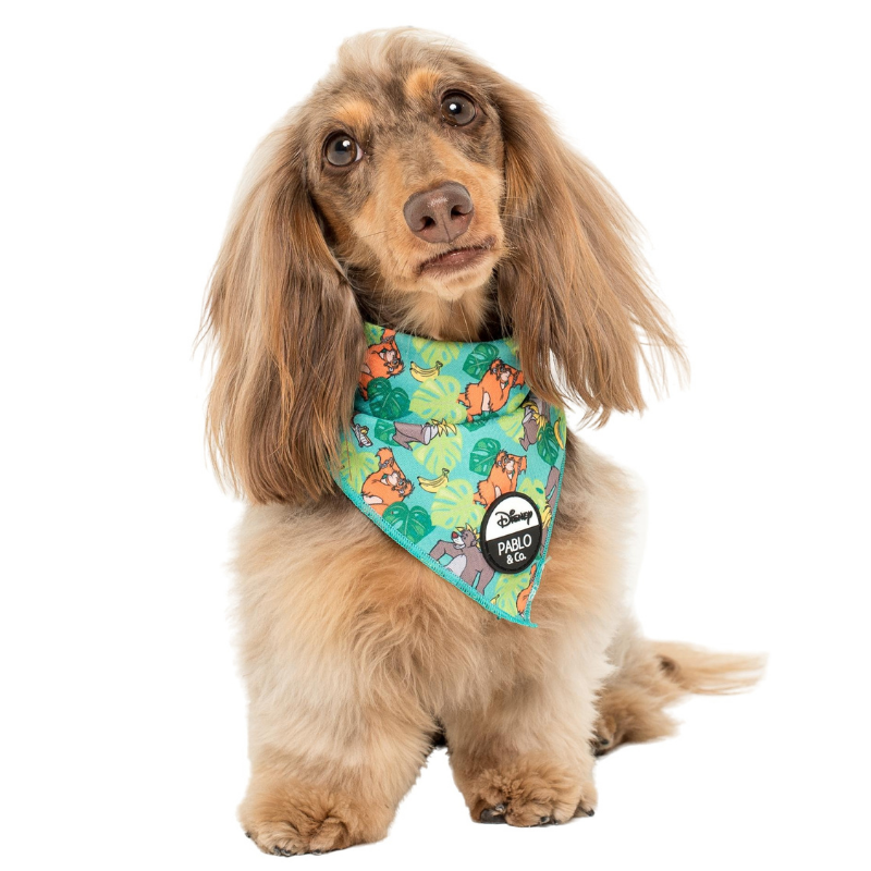 The Jungle Book | Dog Bandana