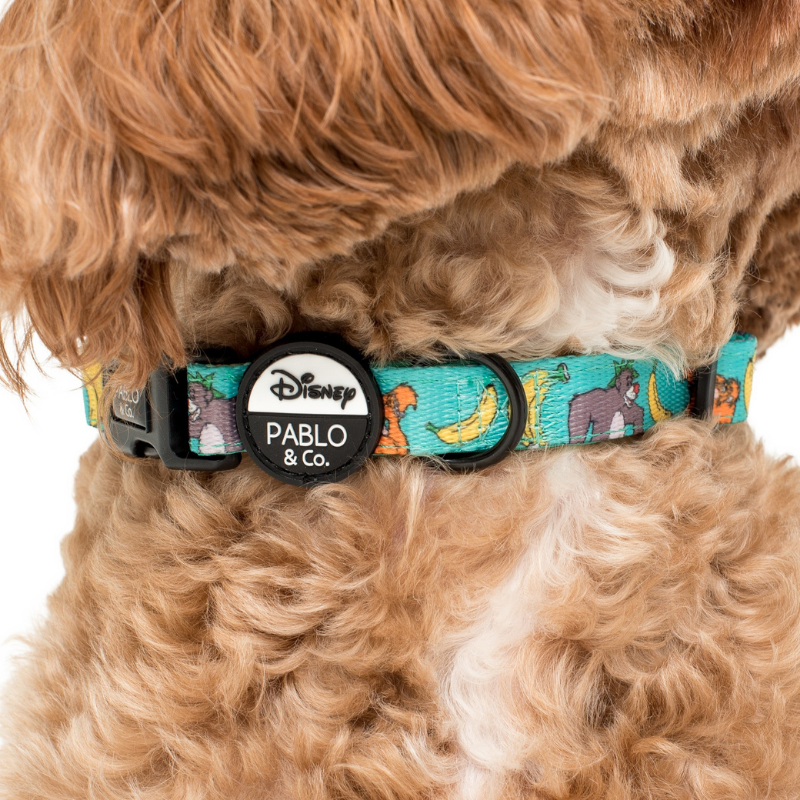 The Jungle Book | Dog Collar