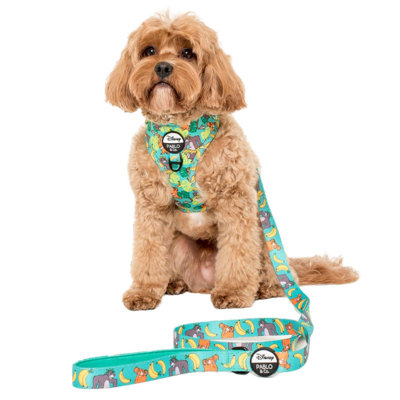 The Jungle Book | Adjustable Dog Harness