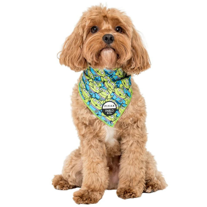 Toy Story: Aliens | Dog Bandana