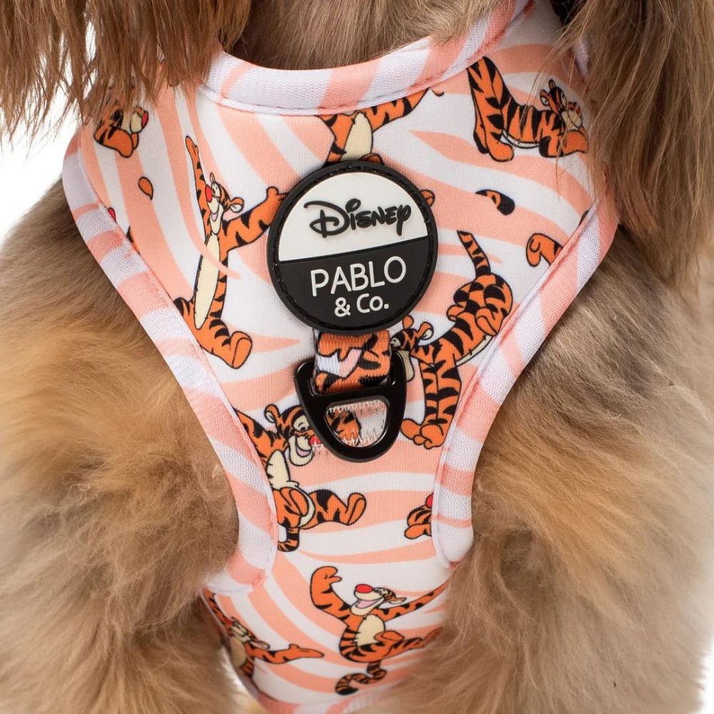 The One Of A Kind Tigger | Adjustable Dog Harness