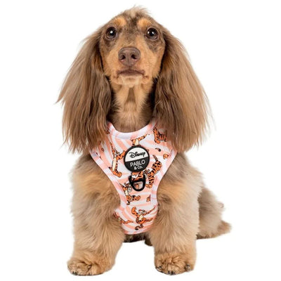 The One Of A Kind Tigger | Adjustable Dog Harness