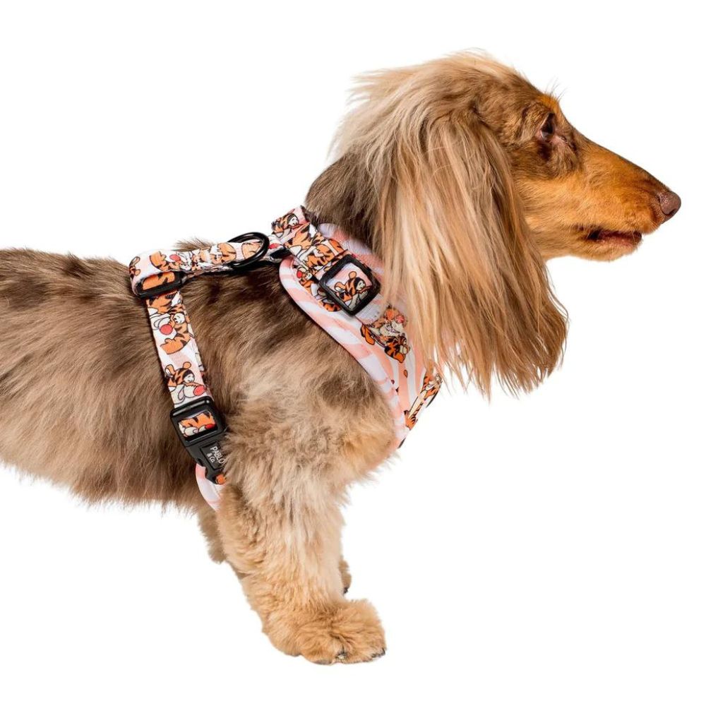 The One Of A Kind Tigger | Adjustable Dog Harness