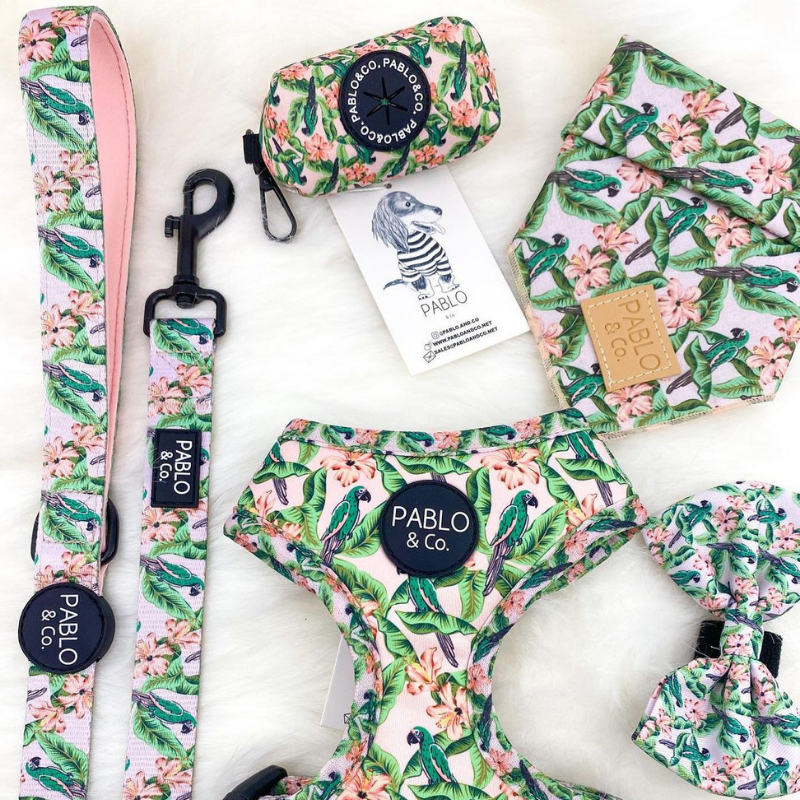 Blushing Parrots Dog Collar