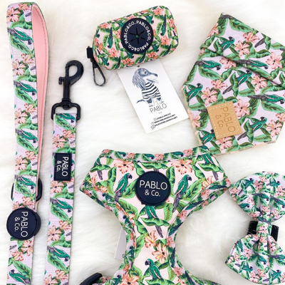 Blushing Parrots Dog Collar