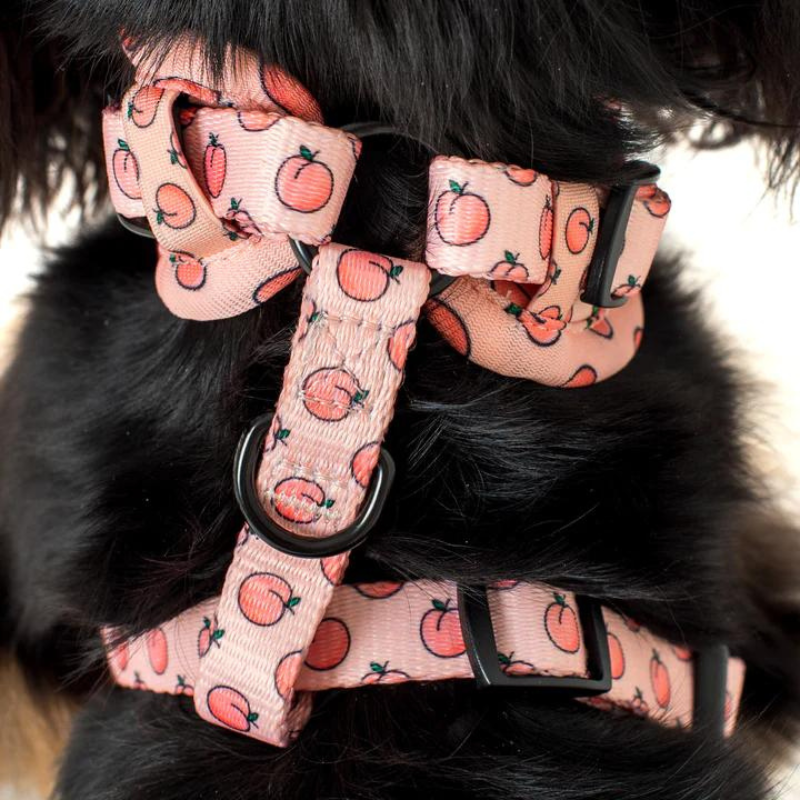 Peaches & Cream | Adjustable Dog Harness