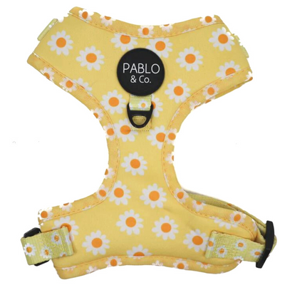 Yellow Daisy | Adjustable Dog Harness