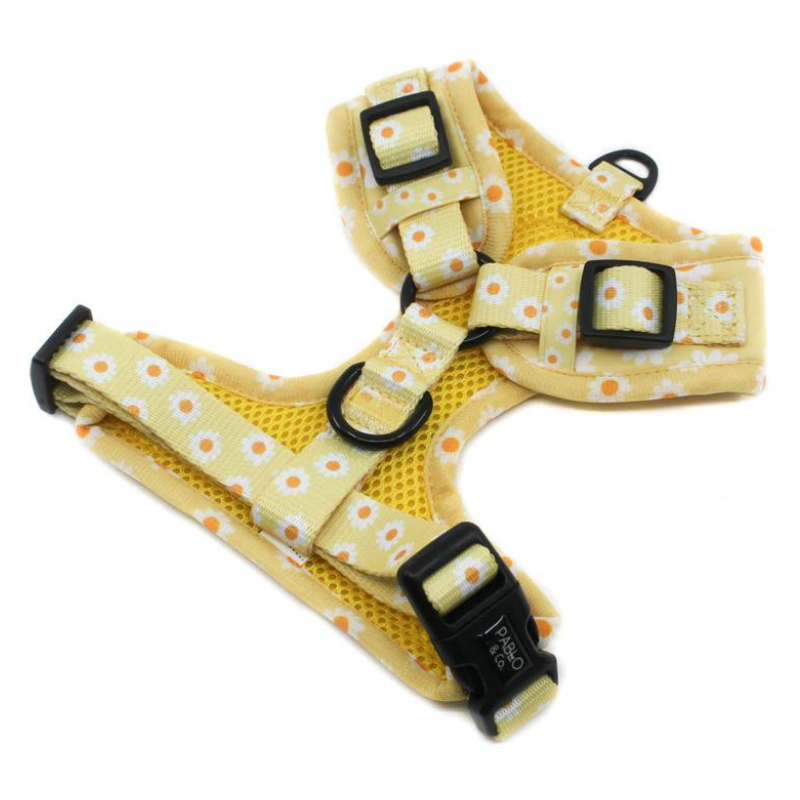 Yellow Daisy | Adjustable Dog Harness