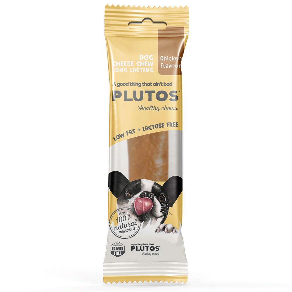 Healthy long lasting chews for dogs cheap