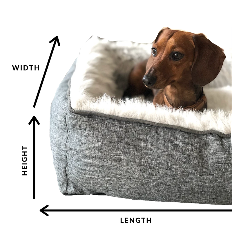 PUPSTYLE Modern Dream Dog Bed | Peticular