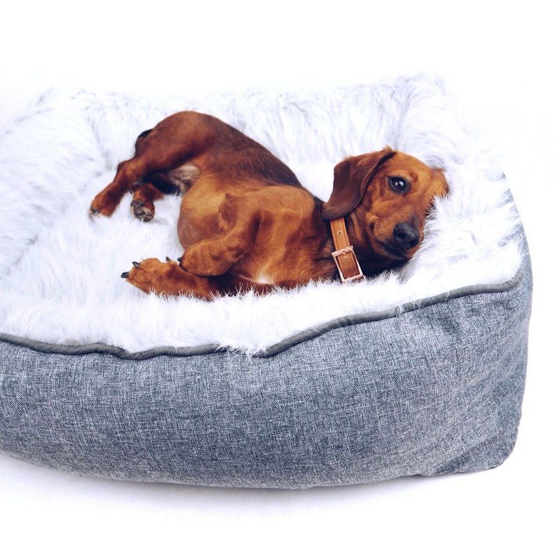 PUPSTYLE Modern Dream Dog Bed | Peticular