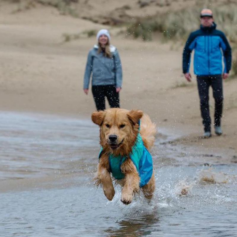 Sun Shower Dog Raincoat | Blue Dusk