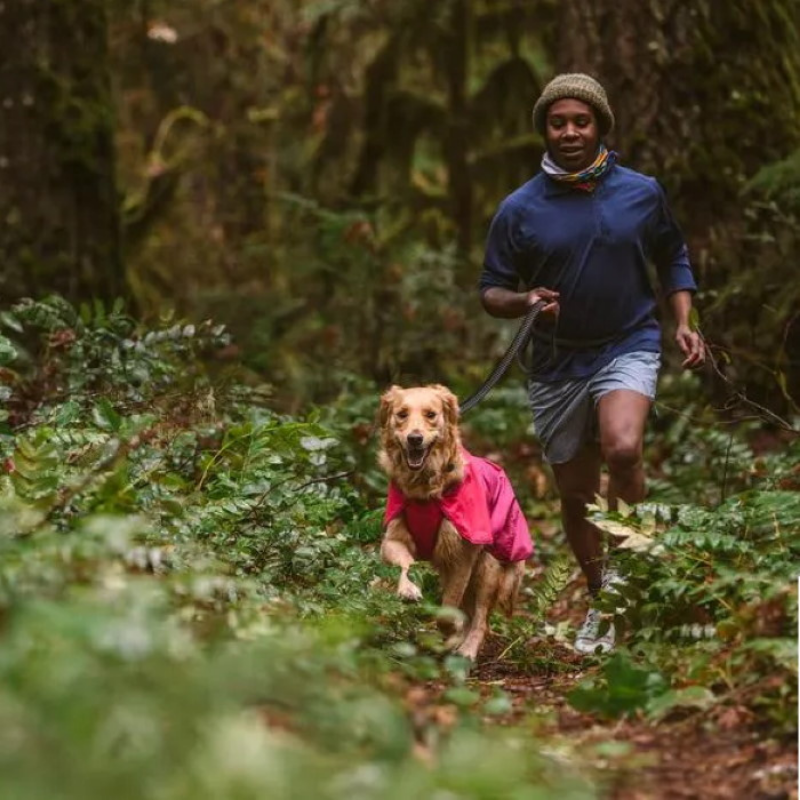 Sun Shower Dog Raincoat | Hibiscus Pink