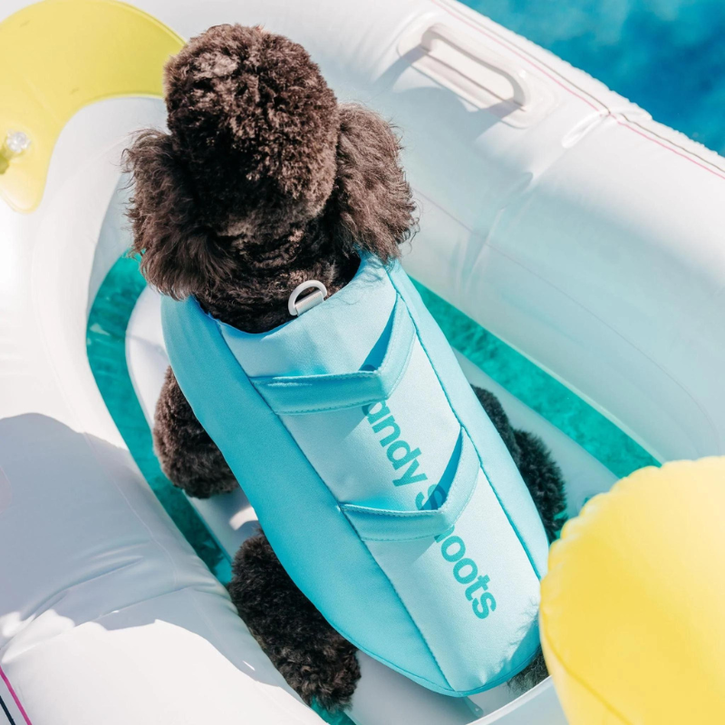 Dog Life Jacket | Caribbean Green