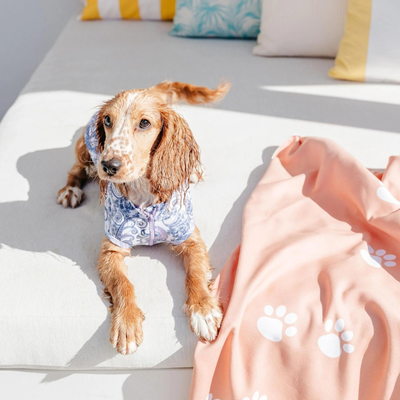 Paisley Dog Rashie - FINAL SALE. NO RETURNS.