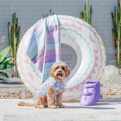 Paisley Dog Rashie - FINAL SALE. NO RETURNS.