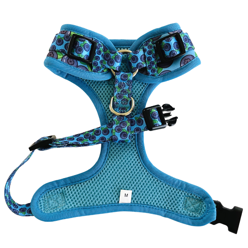 Blueberries | Adjustable Dog Harness